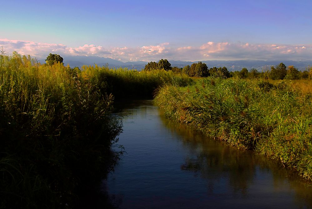 Bewässerung in der Po Ebene Foto & Bild landschaft, bach, fluss & see, flüsse und kanäle