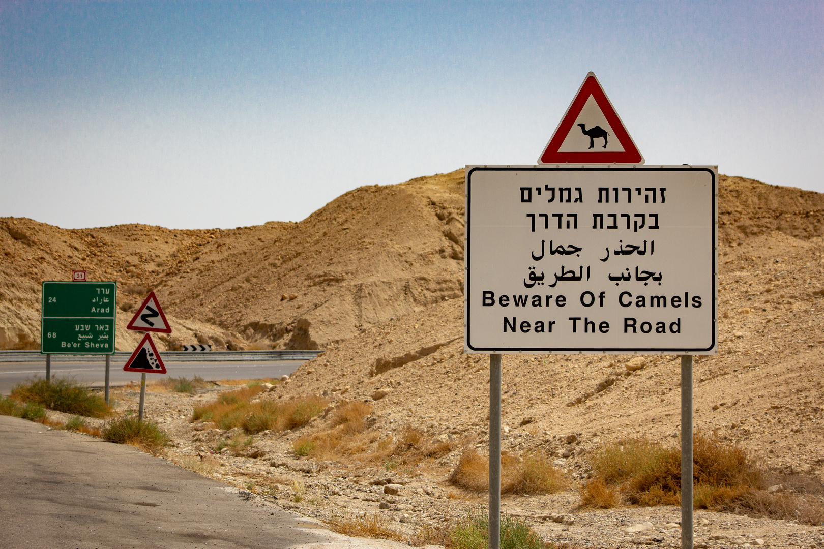 Beware of Camels