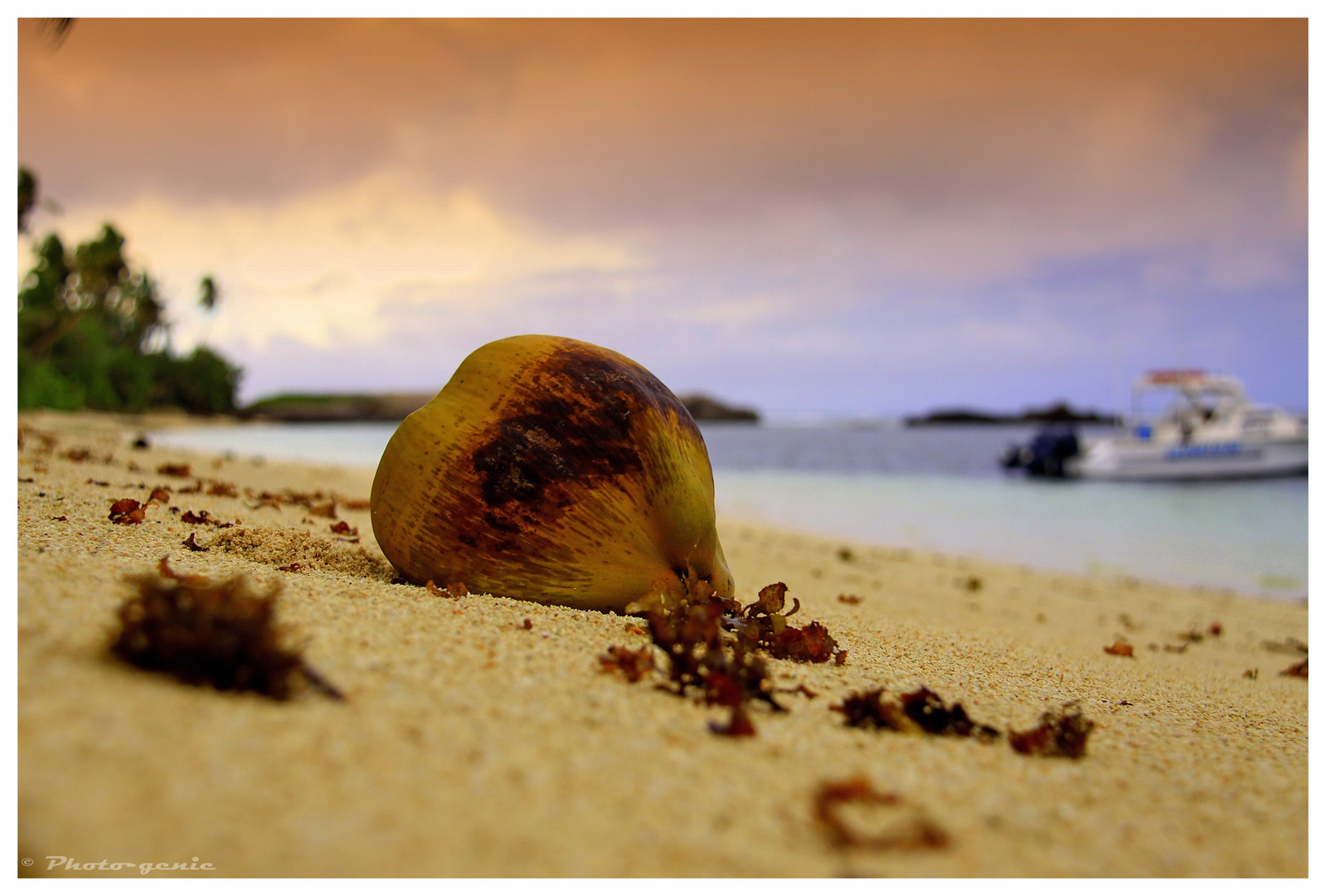 beware of the coconut :)