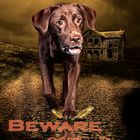 Beware Of The Dog