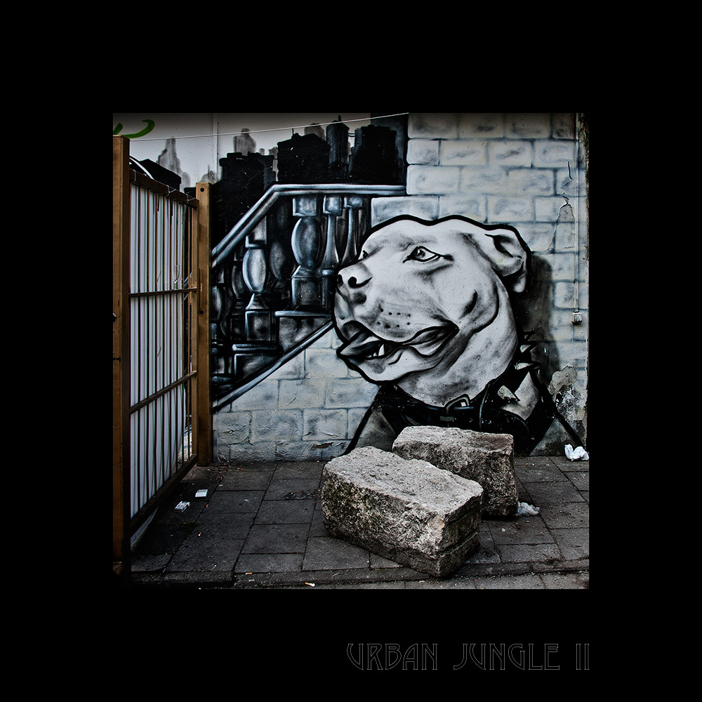 Beware of the Dog - Urban Jungle # Two