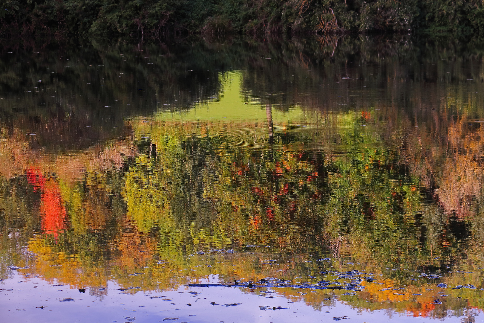 bewegte Farben...  zum Spiegeltag am 15.11.2022