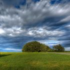 Bewegter Himmel -Stille Heide