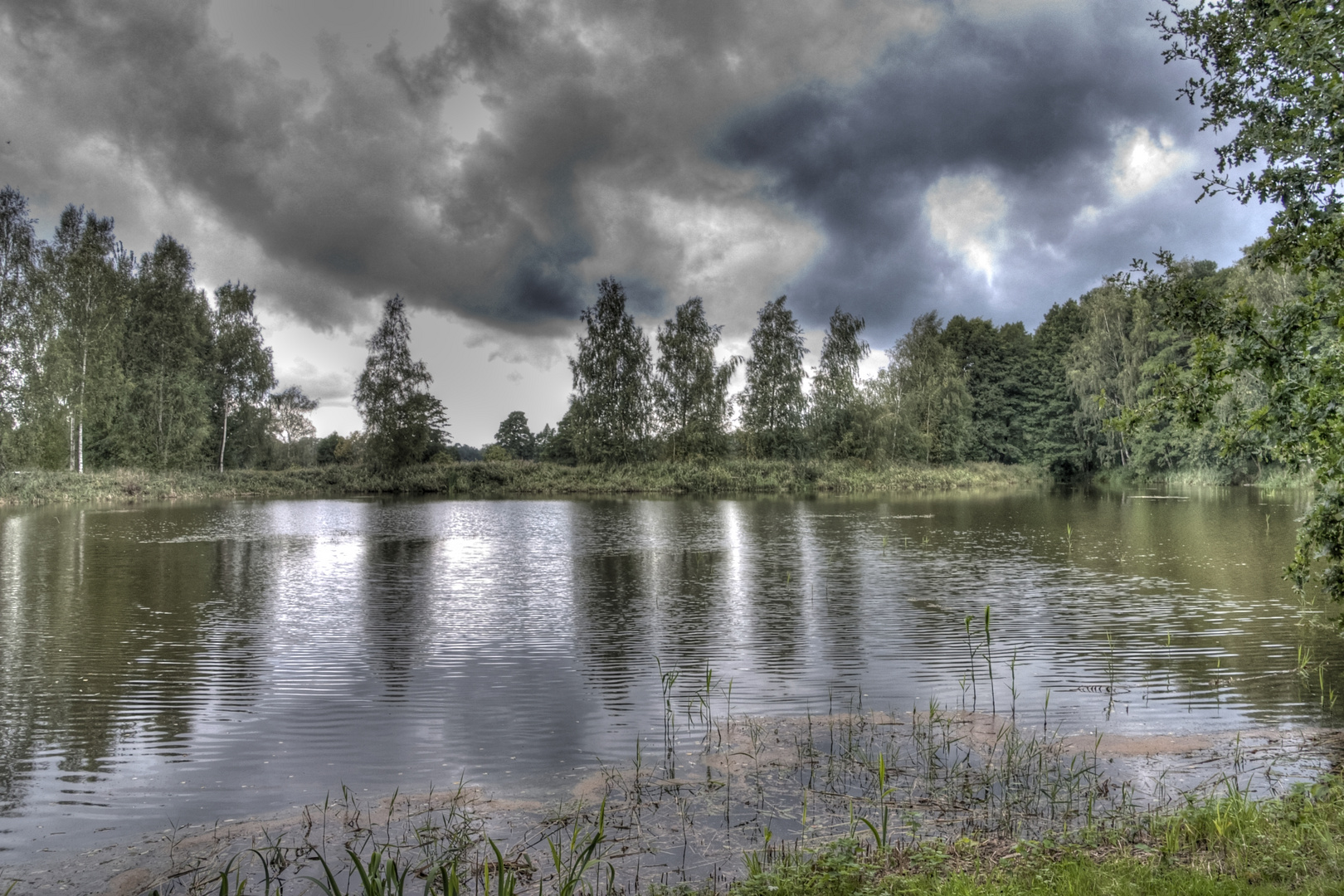 Bewegter Teich in der Oberlausitz