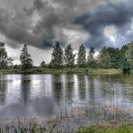 Bewegter Teich in der Oberlausitz