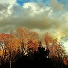 Bewegtes Wolkenspiel über dem Park