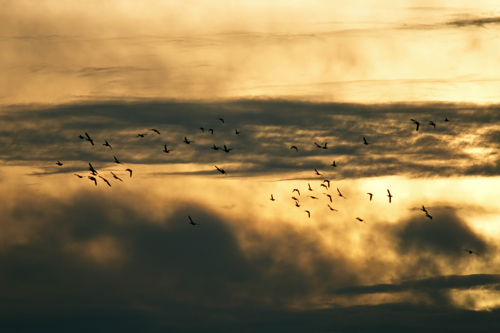 Bewegung am Abendhimmel