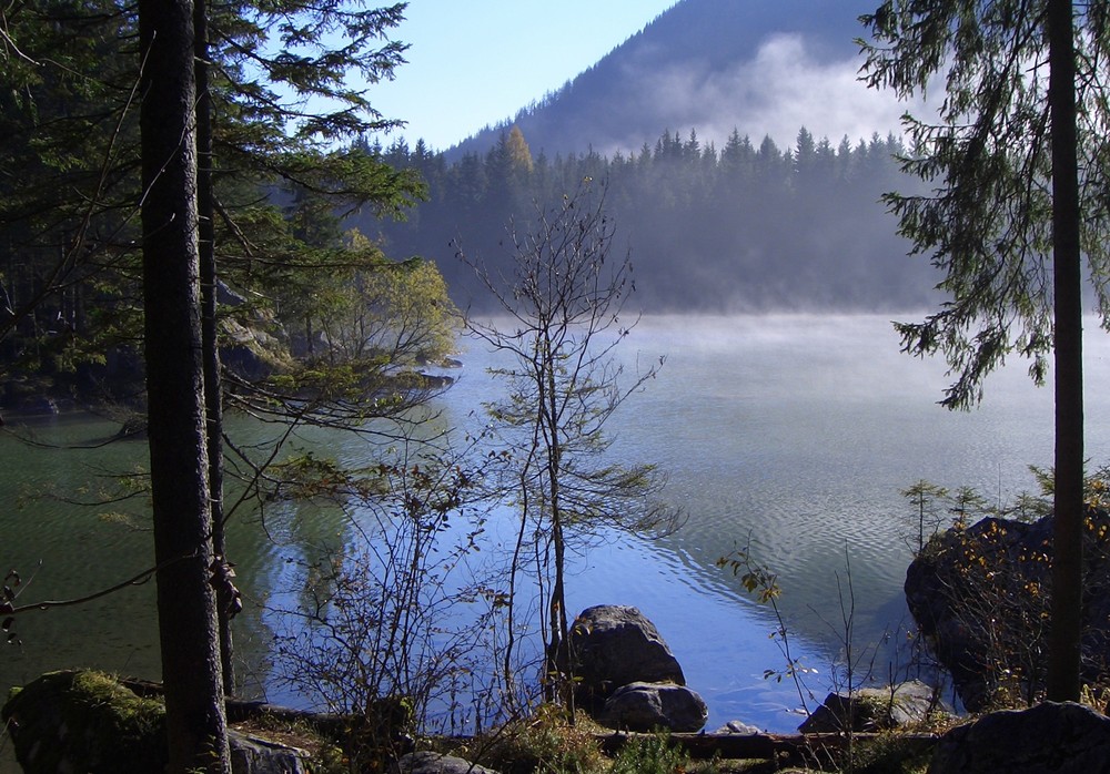 Bewegung am See