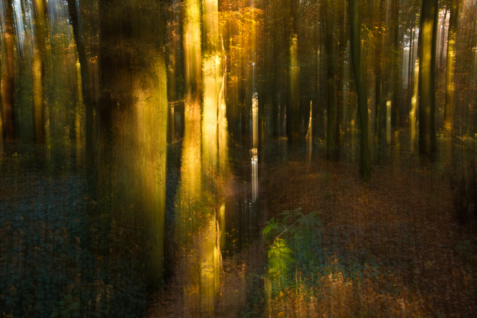 Bewegung im Statsichen