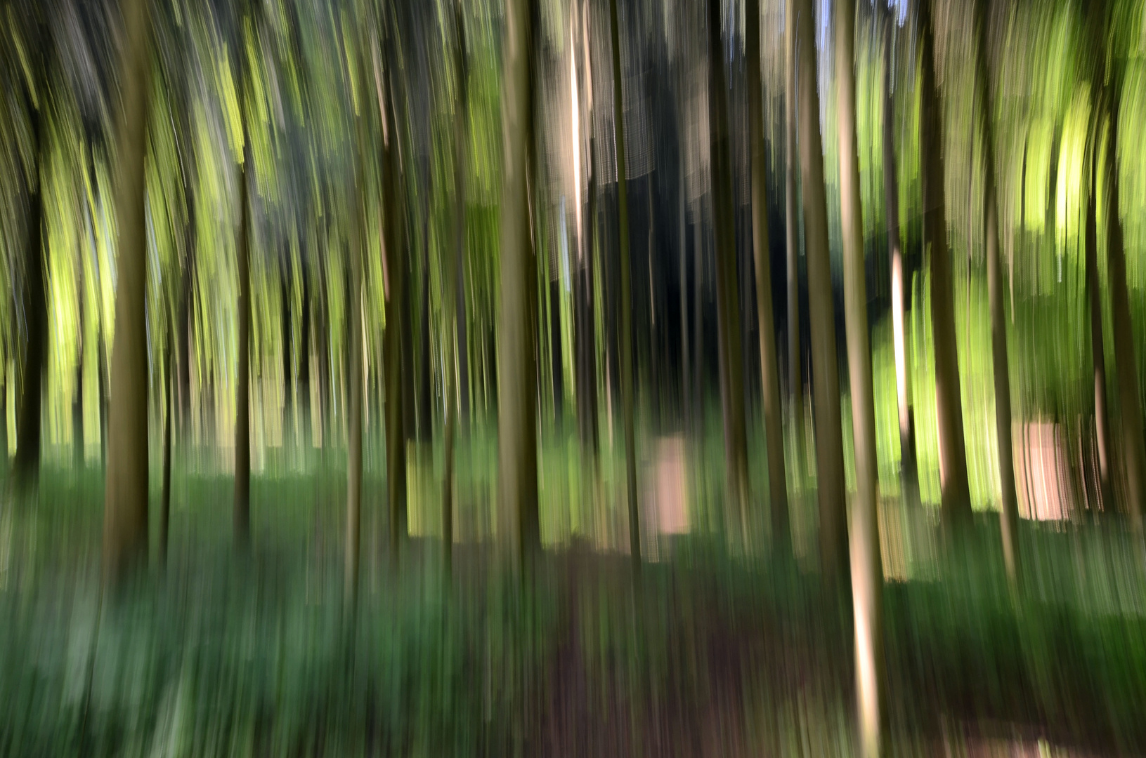 Bewegung im Wald
