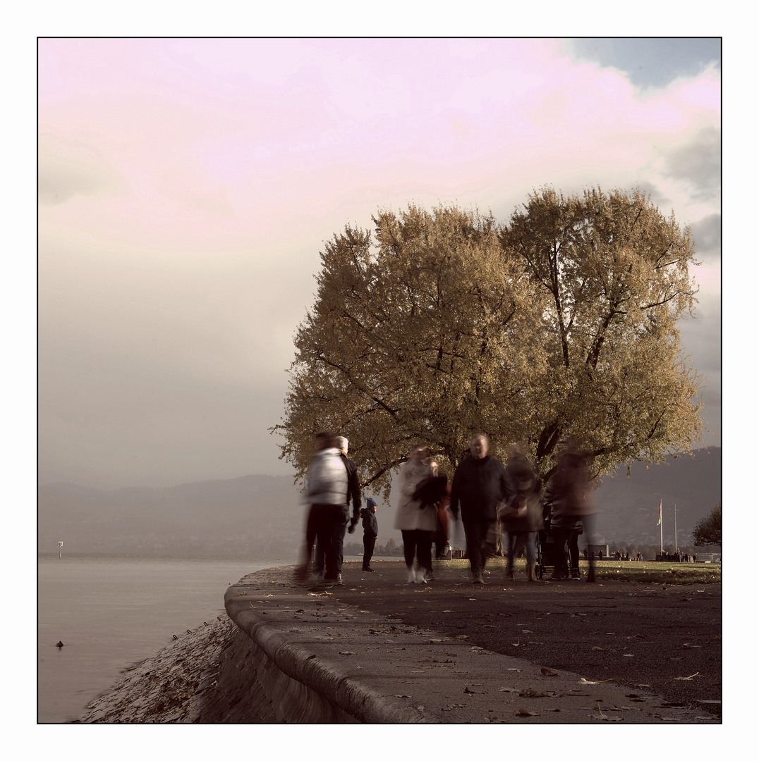 Bewegung im Wind