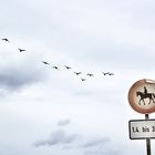 Bewegung kann eingeschränkt werden