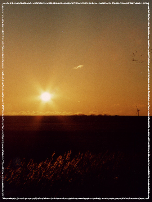 Bewegungen in der Stille des Abends