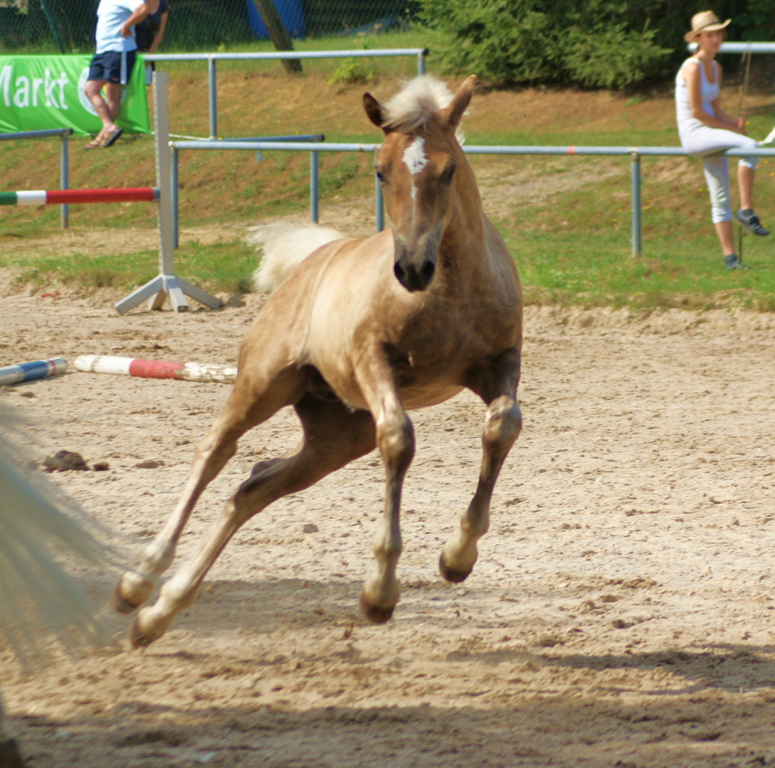 Bewegungskünstler