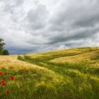 bewölkt und windig ....