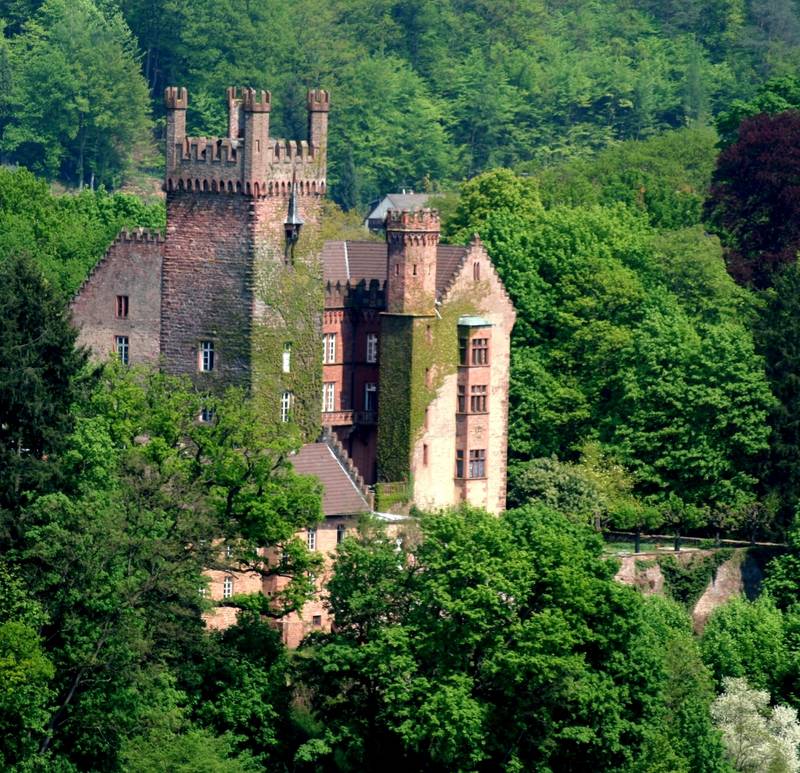 Bewohnte Burg in Neckarsteinach, Neckartal