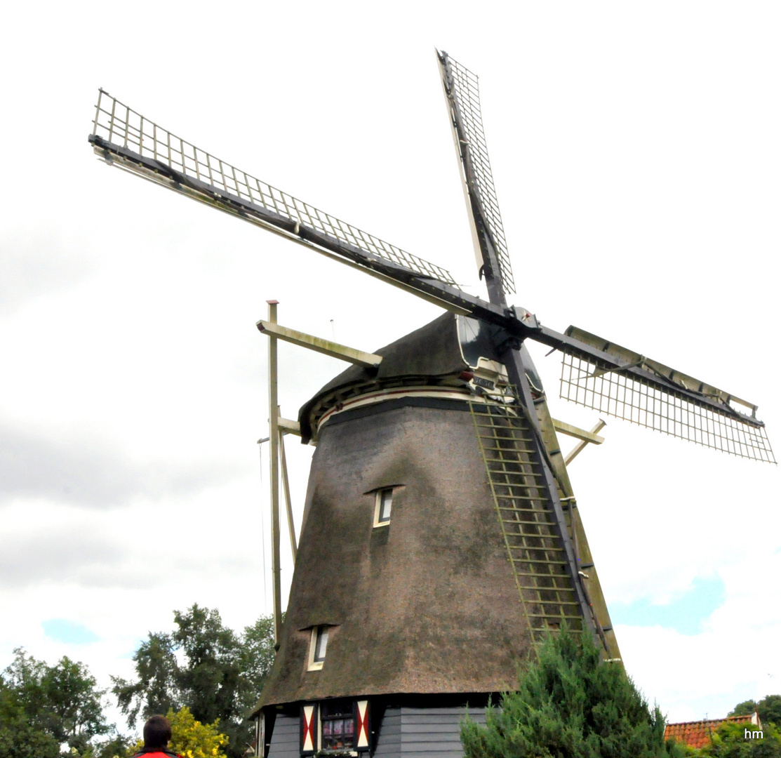 Bewohnte Windmühle bei Amsterdam (Rickermohlen)