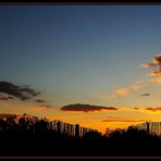 ... beyond the fence the evening falls ... / ...au-delà de la clôture le soir tombe ...