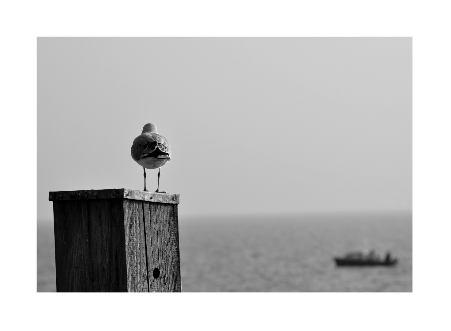 Beyond the sea: Man sollte den Blick immer nach vorn richten...