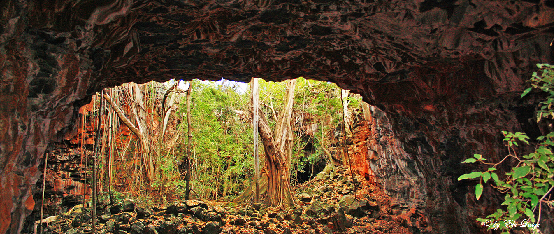 ** Beyond the Undara Lava Tube **