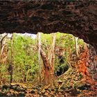 ** Beyond the Undara Lava Tube **