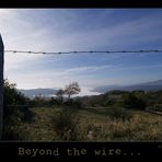 Beyond the wire...