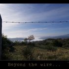 Beyond the wire...