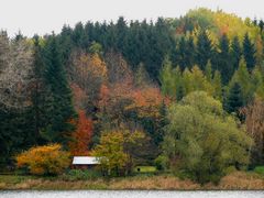 ...bezaubernde Farben