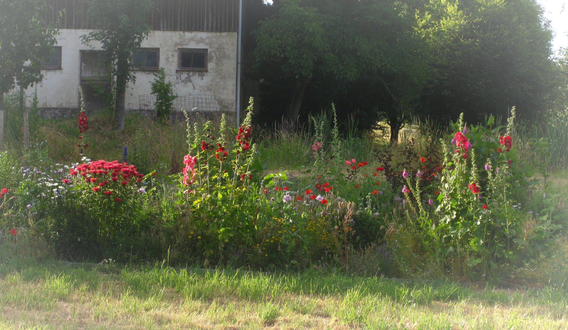 Bezaubernder Bauerngarten