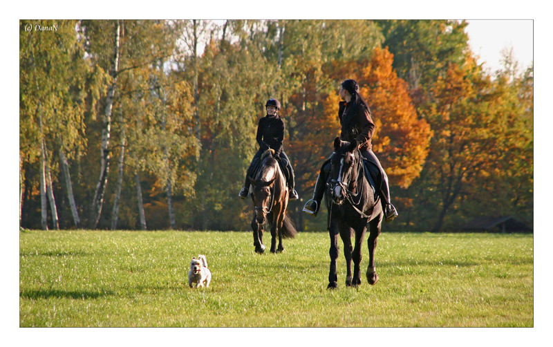 bezaubernder Herbst...