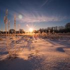 Bezauberndes Licht