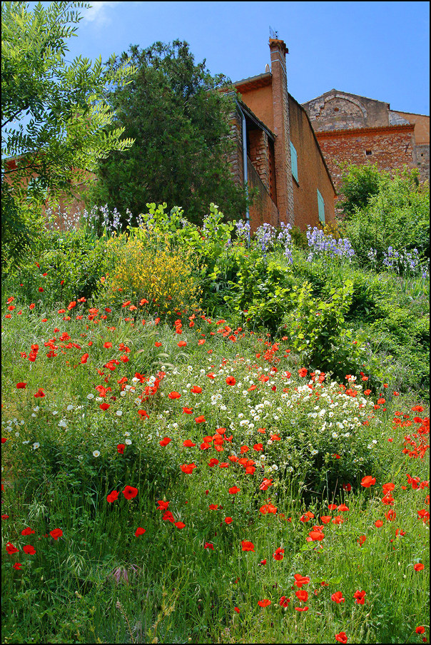 Bezauberndes Roussillon