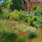 Bezauberndes Roussillon