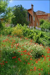 Bezauberndes Roussillon