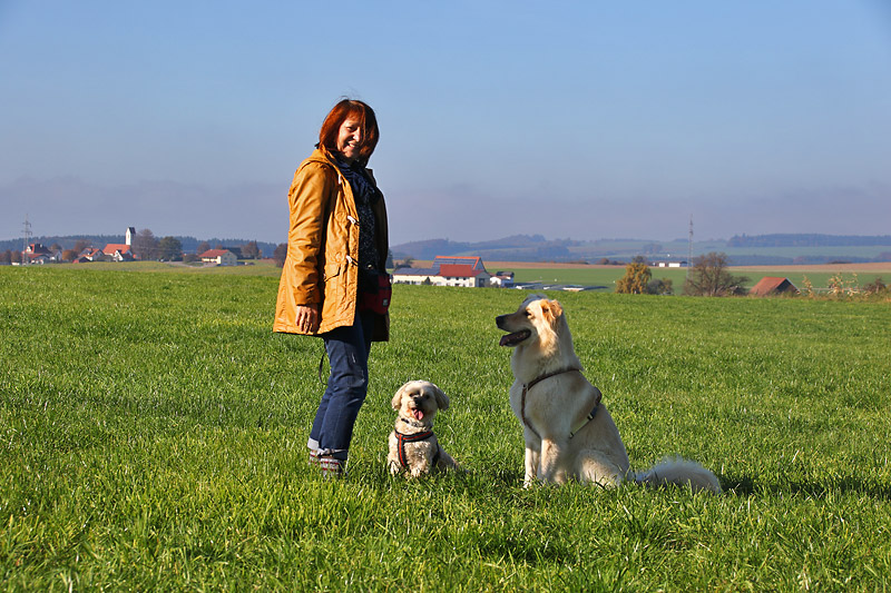 Beziehung Mensch - Hund