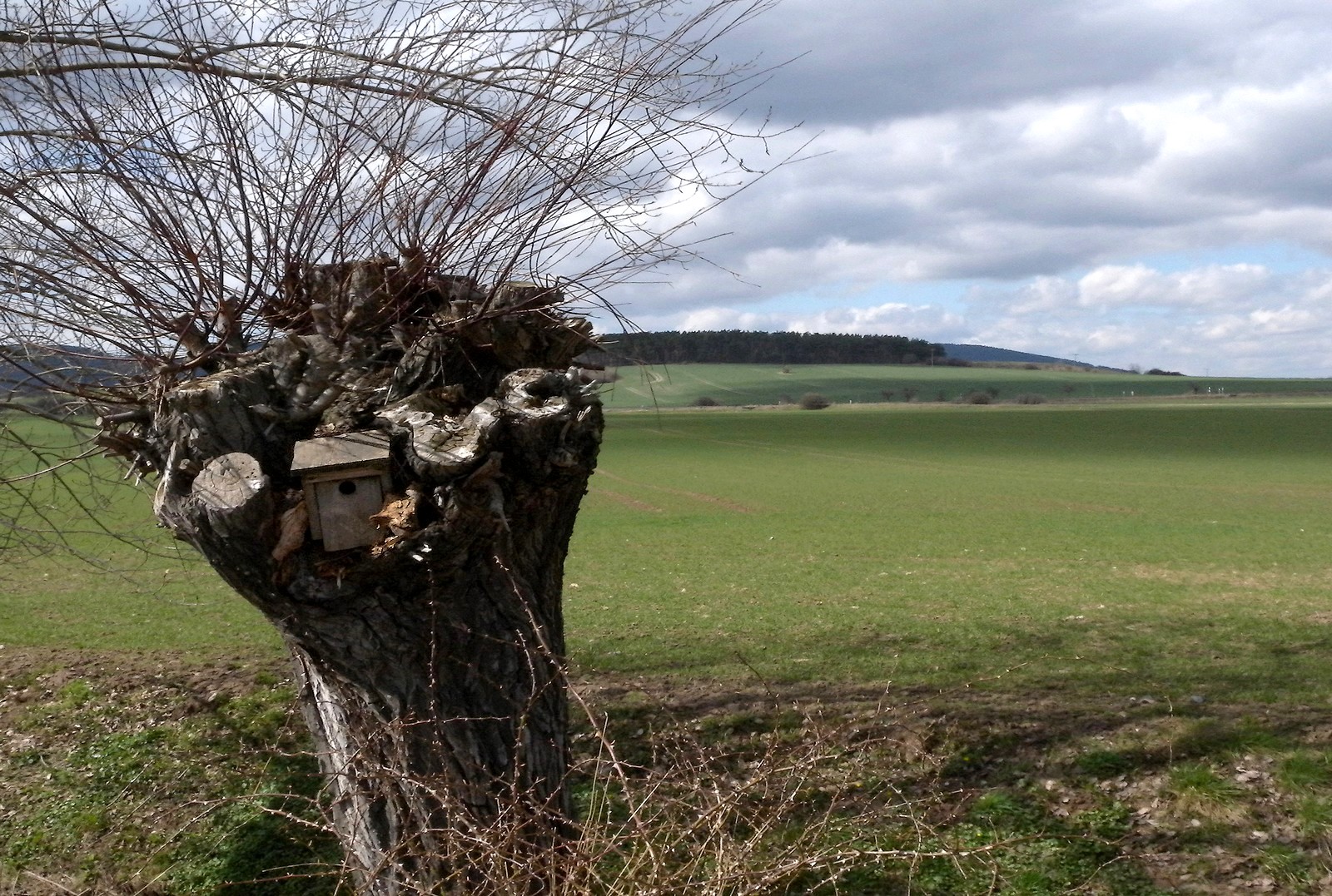 Bezugsfertiges Häuschen