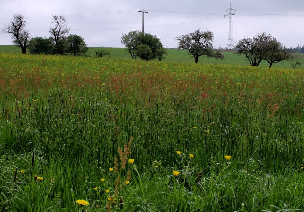 Bezugspunkte im Frühjahr