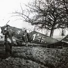 BF 109E-3 n°1304