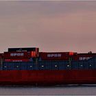 BF EUPHORIA / Container Ship / Rotterdam / Bitte scrollen!