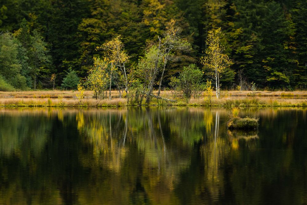 Vogesen See von Helmut Deckenbach