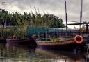 Barcas en La Albufera by tropovero