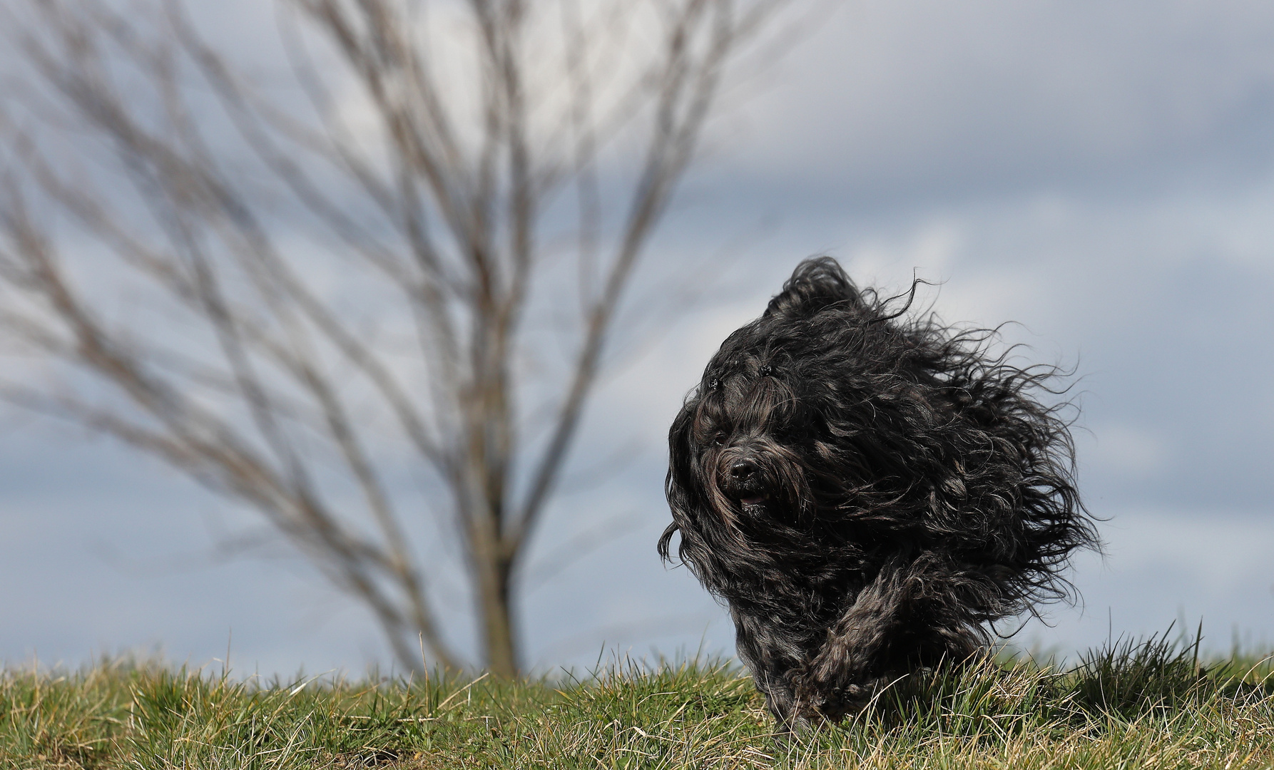 Bhaira und der Wind