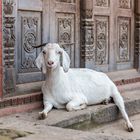 Bhaktapur Kathmandu Tal Nepal 