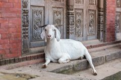 Bhaktapur Kathmandu Tal Nepal 