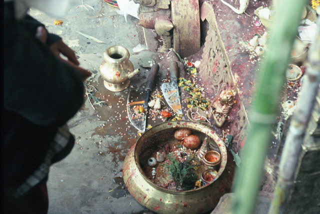 Bhaktapur Tieropfer 01