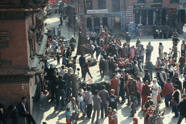 Bhaktapur Tieropfer 02