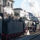 Bhf Locarno - Bereitstellung für die Dampfsonderzug übern Gotthard retour