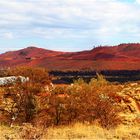 *** BHP Iron Ore Mining / Newman Pilbara WA***