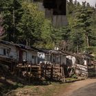 Bhutan - Chele La - Schwarze Flecken am Wegesrand