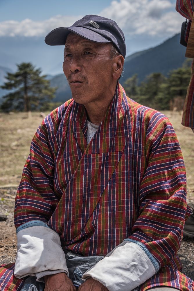 Bhutan - Chele La - Yakhirte
